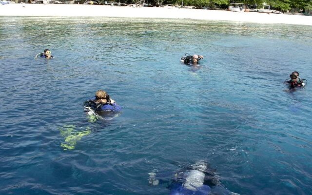 Dive Point Alcoy