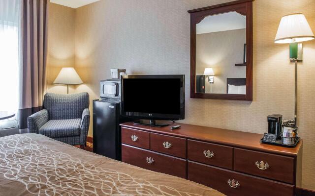 Comfort Inn Meadowlands