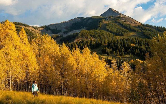 Paradise Condos - Crested Butte Mountain Rentals