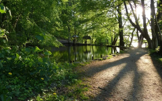 Beautiful Authentic Mill Close to the Beach