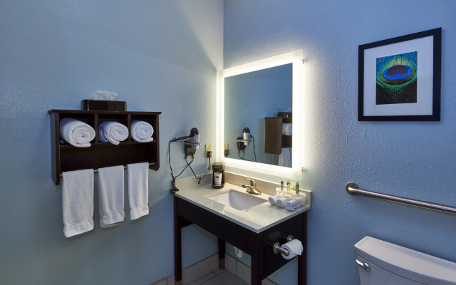 Holiday Inn Express & Suites Birmingham South - Pelham by IHG