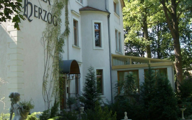 Villa Herzog