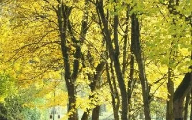 Park