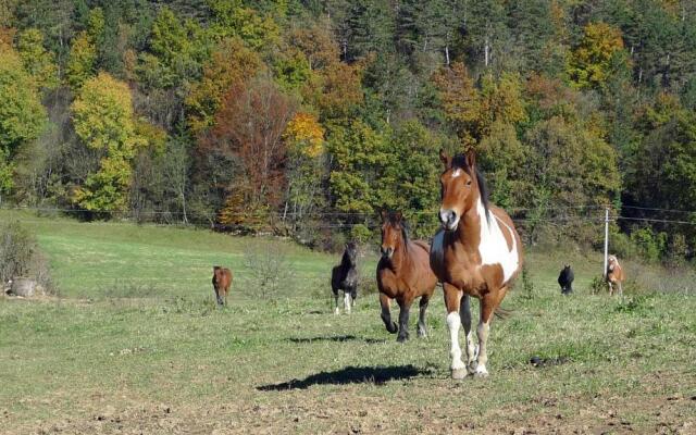Bed and Breakfast Špelca