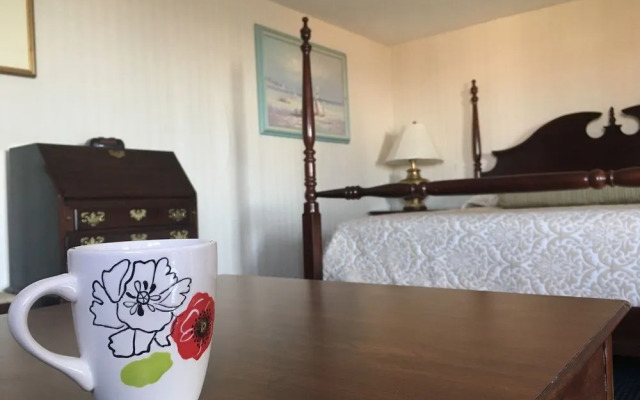 Beachfront White Sands