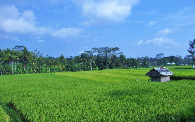 Temuku Ubud Villas