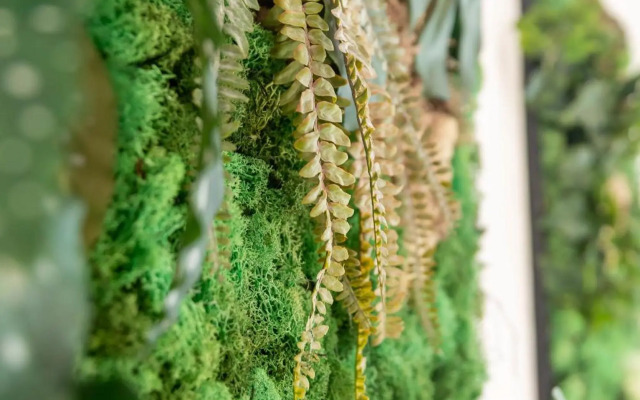 Stylish apartment near Mariahilferstraße