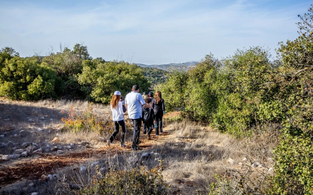 Ajloun cabins