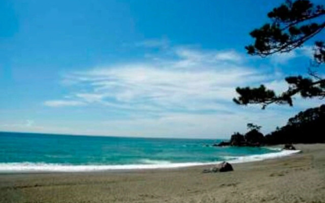 Tourist Inn Kochi / Vacation STAY 27575