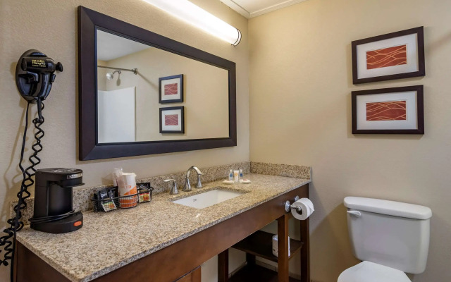 Comfort Inn Opelika - Auburn
