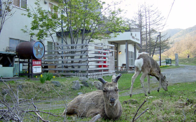 Shiretoko Iwaobetsu Youth Hostel