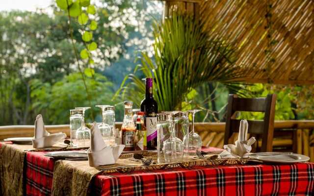 Simba Safari Camp