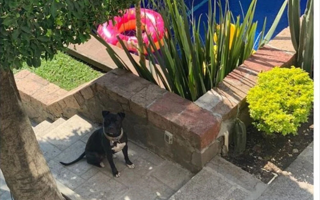 Quinta Margarita in Cuernavaca