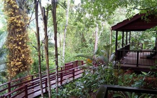 Belize Botanic Gardens' Cottages and Jungle Guest House