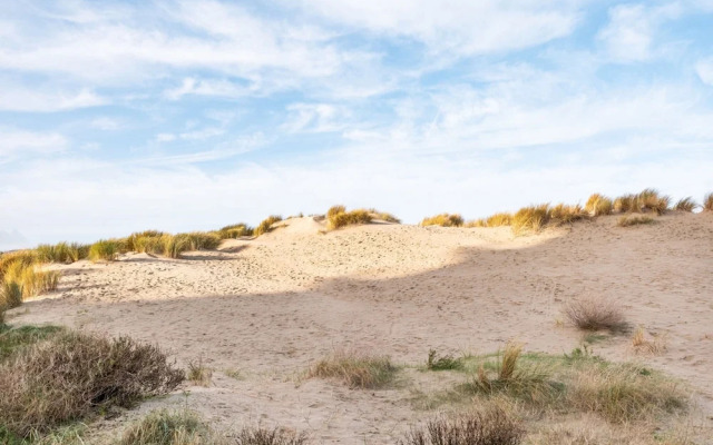 Manderley 204 Studio Directly on the Dunes