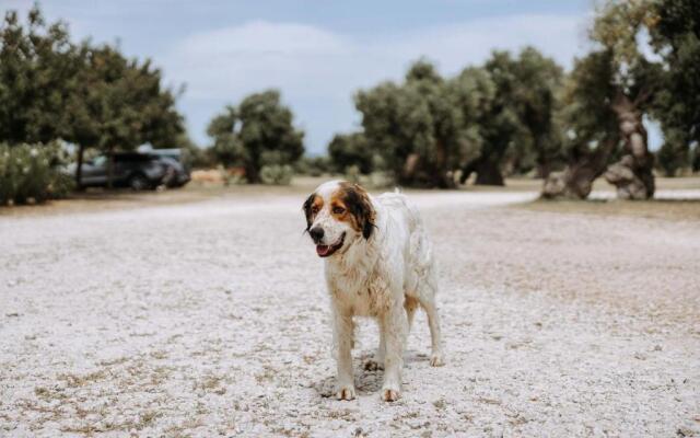 Masseria Garrappa