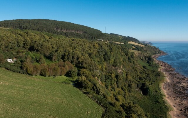 Aspen Yurt - Campsite