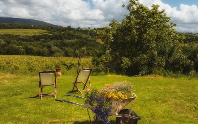 Tenuta Cavalieri Di Scanzano