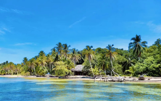 Private Beachfront House With Kayak & Guided Tours