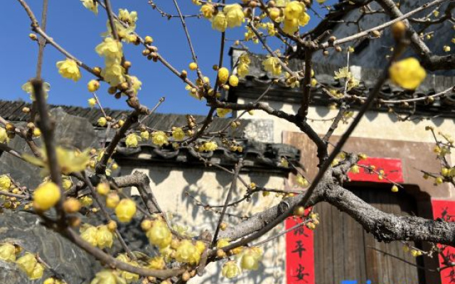 Hongcun Yunshan mountain scenery house