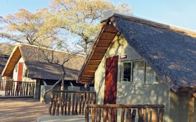 Wild Dogs Safari Lodge