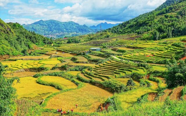 Sapa Mountain Eco Lodge