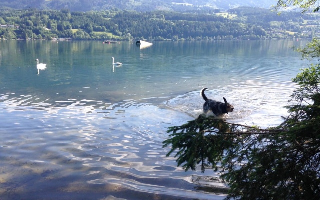 Gartenwohnung Gretl mit Biotop in Seenähe