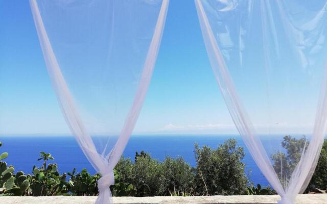 Alicudi Giardino dei Carrubi- al gradino 365