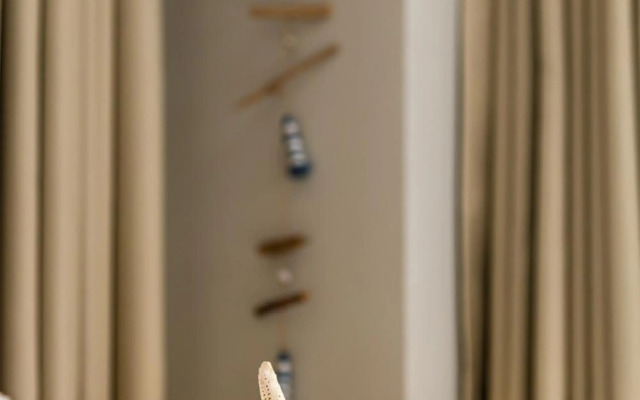 Luxury Central Apartment