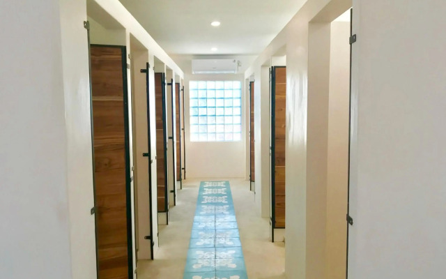 Seaesta Komodo Hotel & Hostel