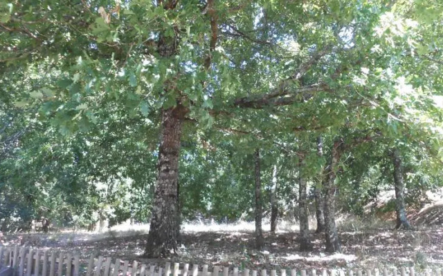 Quinta do Vale Pereiro