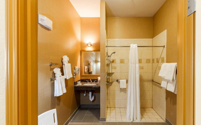 Comfort Suites Plano - Dallas North