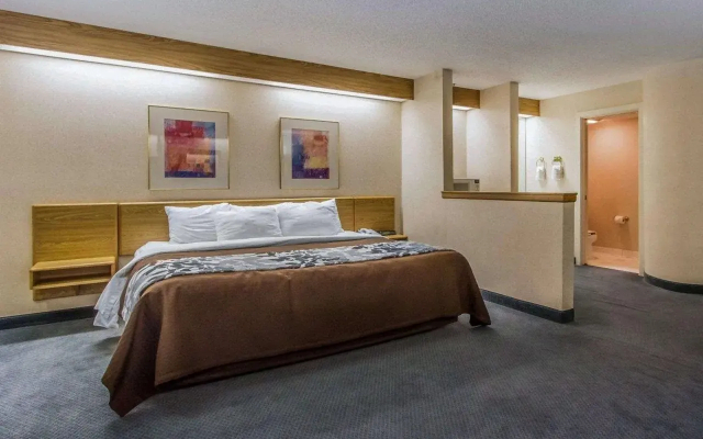 Rodeway Inn
