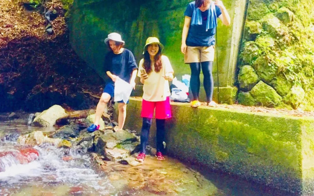 Vanguard Backpackers - Hostel