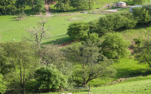 Rolling Hills