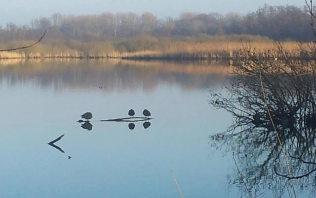 Sonniges Häuschen mit Garten