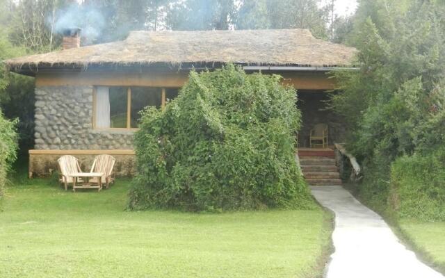 Mountain Gorilla View Lodge