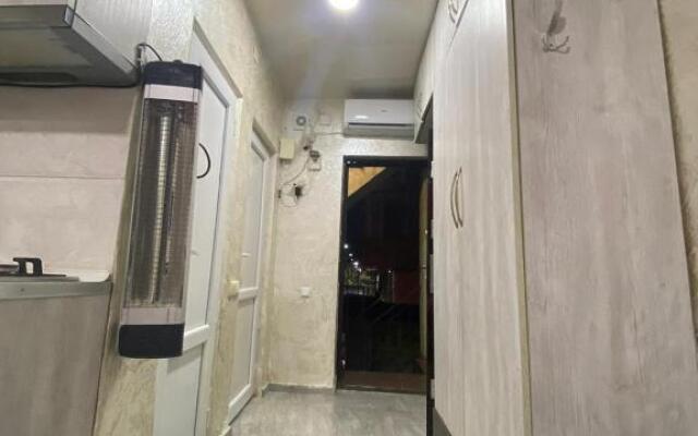 Apartment studio maksim