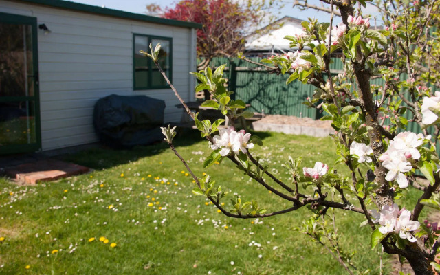 Pinedale Lodge & Apartment