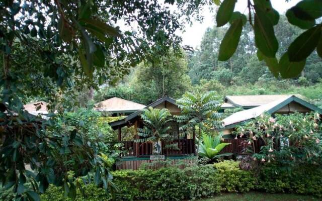 Bwindi View Lodge & Camp Site