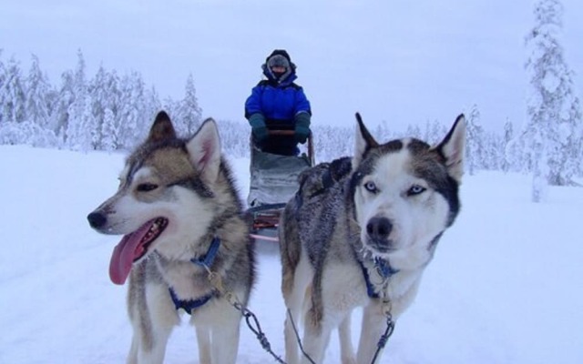 Holiday Club Salla Apartments