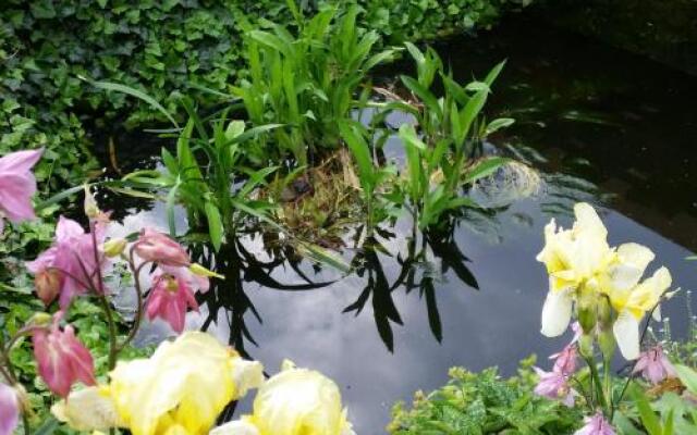 Gartenidylle in Sandau