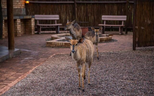 Sondela Nature Reserve & Spa Moselesele Tents