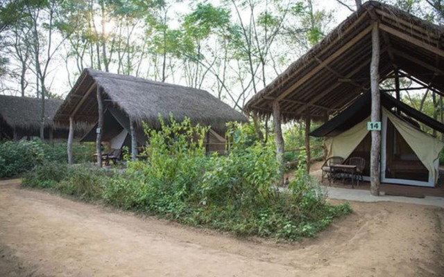 Tigertops Elephant Camp