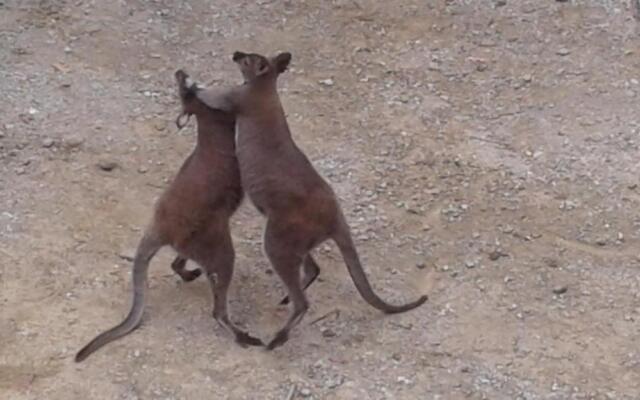 Adventure Bay Beach House