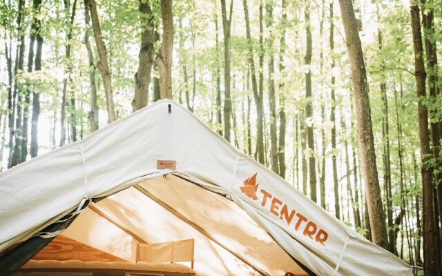 Tentrr â Hollow Tree Camp