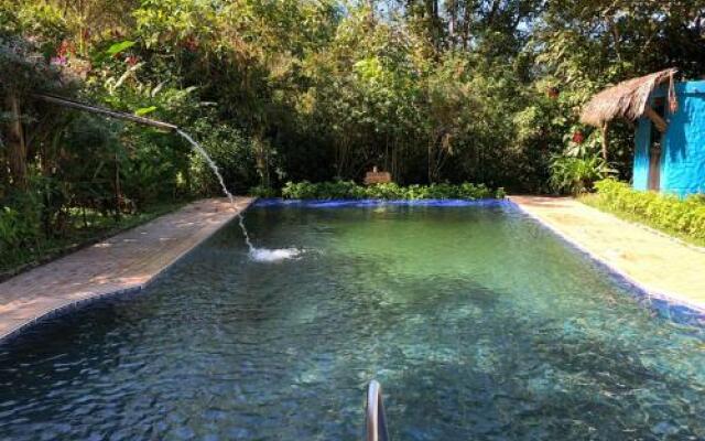 El Abrazo del Arbol - Farm Eco Lodge
