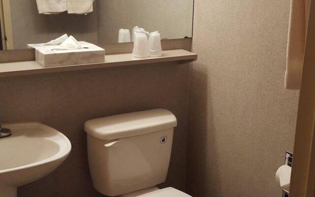 Hibbing Park Hotel & Suites