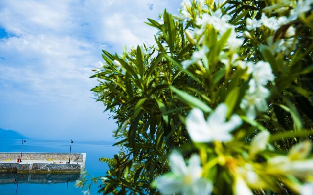 Miradouro Sea Front Residences