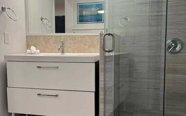 Apartments at 100 Collins